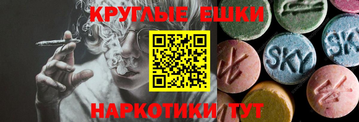 Ecstasy диски  Экстази Philipp Plein  ЭКСТАЗИ  Вход с VPN  Десногорск 