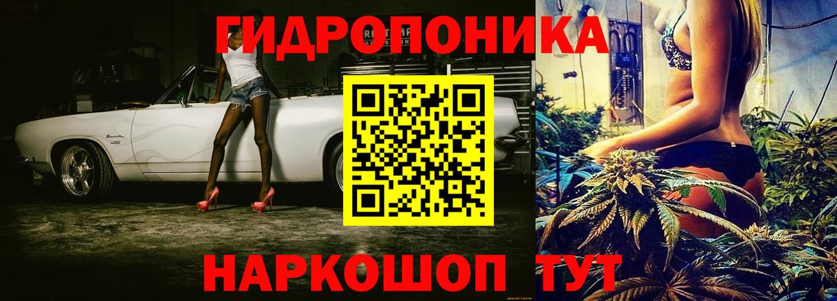 Конопля тримм  Конопля план  Десногорск  Вход с VPN  Бошки Шишки OG Kush 